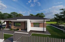 Casa Individuala, plan parter, 82.50 mp utili +450 mp teren, Barnova