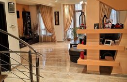 Casa si spatiu comercial, 420 mp, orasul Roman