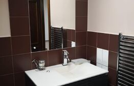 Casa si spatiu comercial, 420 mp, orasul Roman