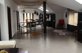 Casa si spatiu comercial, 420 mp, orasul Roman