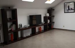 Casa si spatiu comercial, 420 mp, orasul Roman