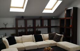 Casa si spatiu comercial, 420 mp, orasul Roman