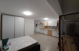 Apartament 1 camera, 40 mp utili,Dacia