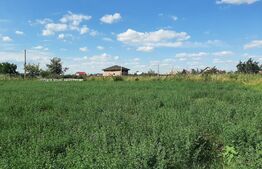 Teren Intravilan, Comuna Victoria, 3234mp, toate utilitatile