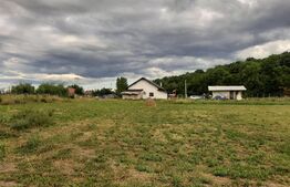 Teren Intravilan, Comuna Victoria, 3234mp, toate utilitatile