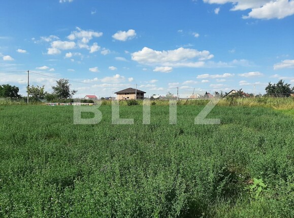 Teren de vânzare Nord - 137599TV | BLITZ Iași | Poza6