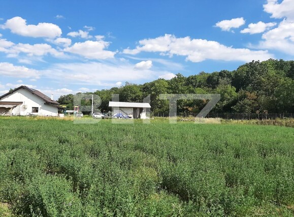 Teren de vânzare Nord - 137599TV | BLITZ Iași | Poza4