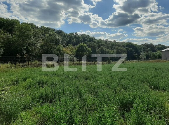 Teren de vânzare Nord - 137599TV | BLITZ Iași | Poza1