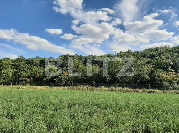 Teren de vânzare Nord - 137599TV | BLITZ Iași | Poza5