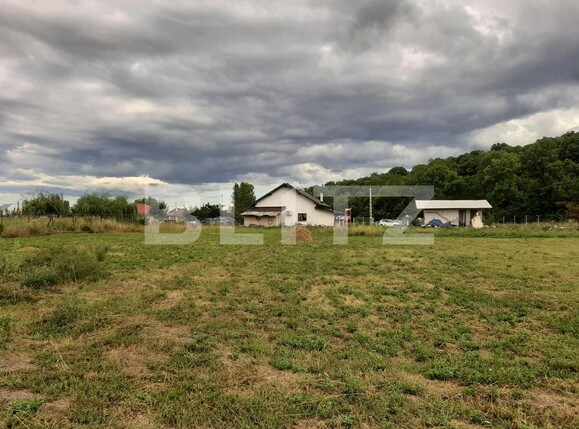 Teren de vânzare Nord - 137599TV | BLITZ Iași | Poza7