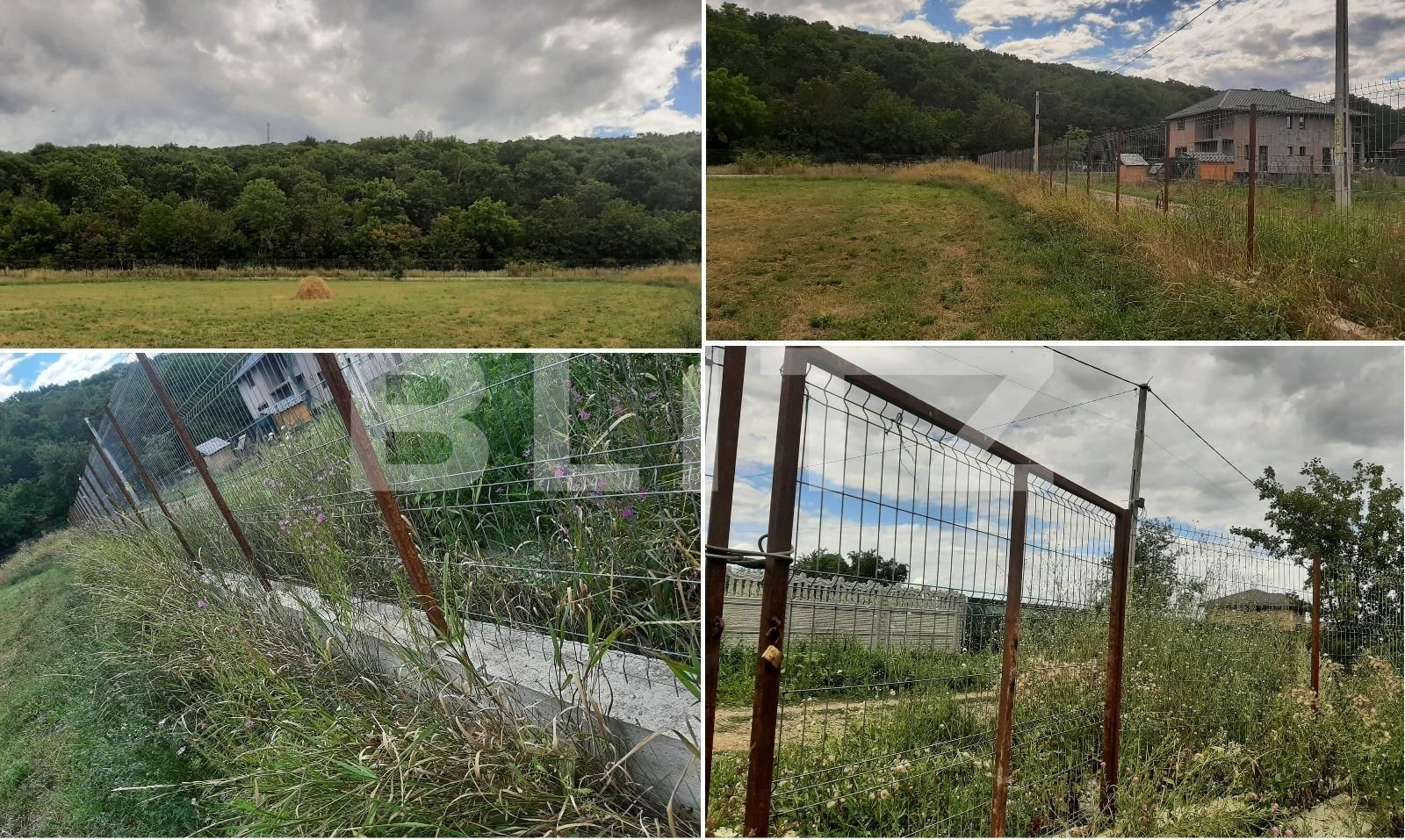 Teren de vânzare Nord - 137599TV | BLITZ Iași | Poza2