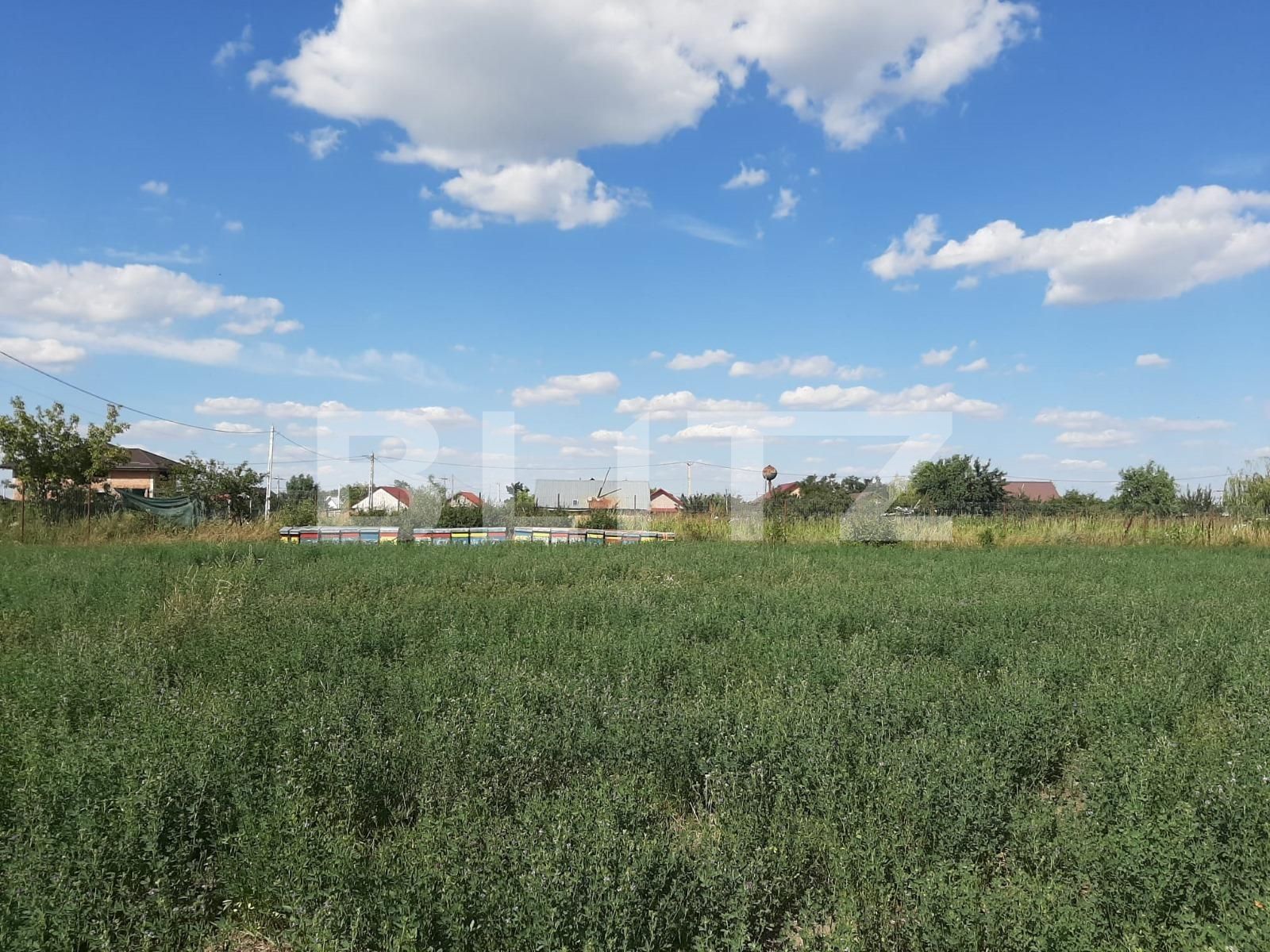 Teren de vânzare Nord - 137599TV | BLITZ Iași | Poza3