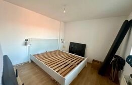 Casa de 3 camere, 300 mp teren, zona Sararie