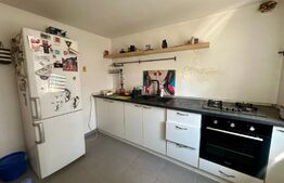 Casa de 3 camere, 300 mp teren, zona Sararie