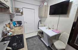 Apartament de 2 camere cu gradina, 46MP, zona Lunca Cetatuii