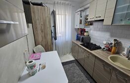 Apartament de 2 camere cu gradina, 46MP, zona Lunca Cetatuii