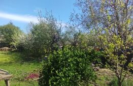 Teren 970mp, exclent amplasat, Valea Lupului