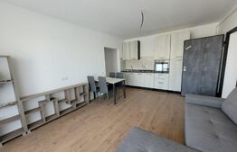 Apartament 2 camere, prima inchiriere, Valea Lupului, Sedes Apartments