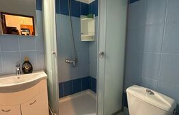 Apartament de 2 camere, 40mp, zona Piata Nicolina