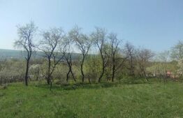 Teren intravilan, 3900 mp, zona Dobrovat