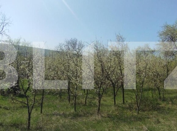 Teren de vânzare Exterior Sud - 138802TV | BLITZ Iași | Poza1