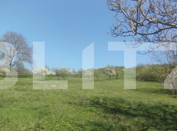 Teren de vânzare Exterior Sud - 138802TV | BLITZ Iași | Poza4