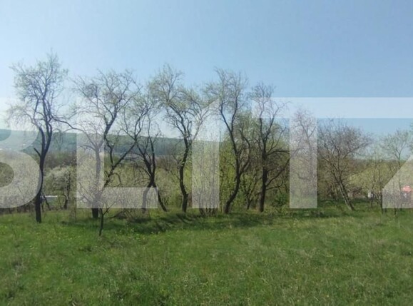 Teren de vânzare Exterior Sud - 138802TV | BLITZ Iași | Poza3