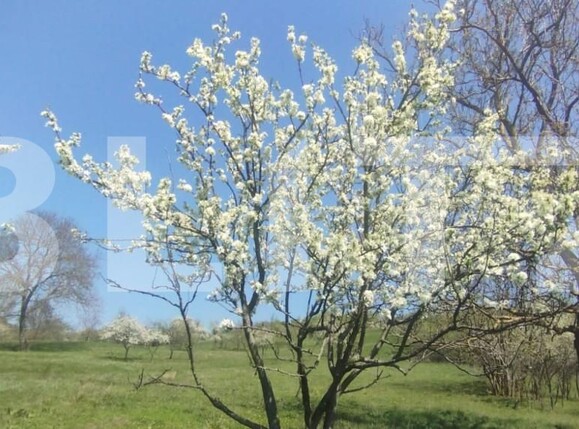 Teren de vânzare Exterior Sud - 138802TV | BLITZ Iași | Poza2