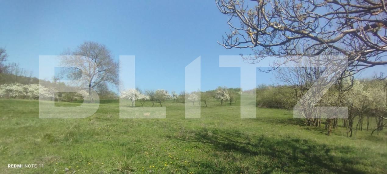 Teren de vânzare Exterior Sud - 138802TV | BLITZ Iași | Poza4