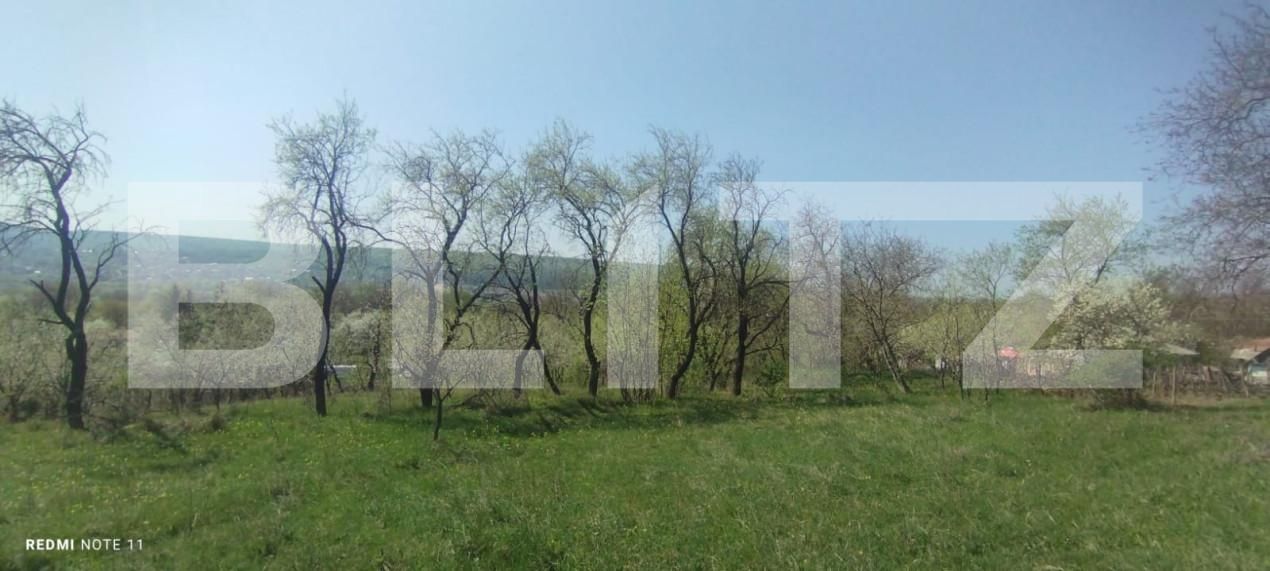 Teren de vânzare Exterior Sud - 138802TV | BLITZ Iași | Poza3