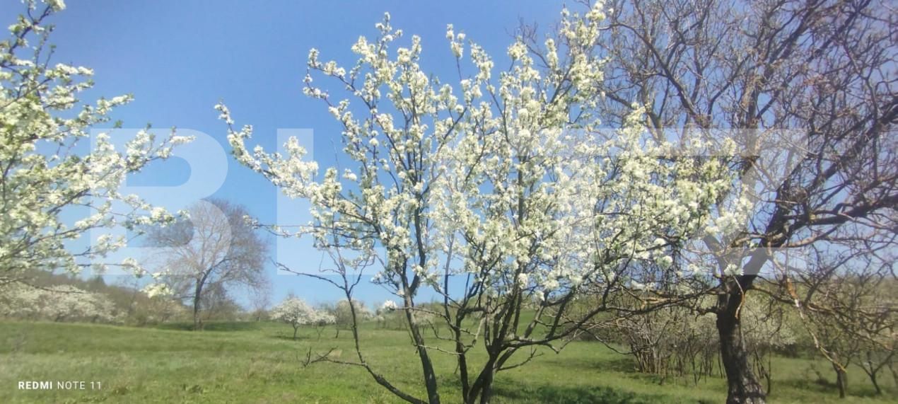 Teren de vânzare Exterior Sud - 138802TV | BLITZ Iași | Poza2