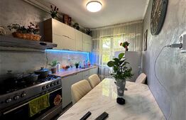 Apartament 2 camere, 50mp, zona Tatarasi