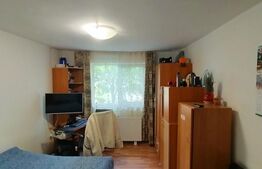 Casa 3 camere, 366mp teren, zona Copou