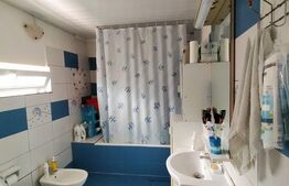 Casa 3 camere, 366mp teren, zona Copou