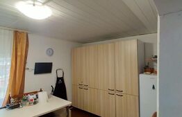 Casa 3 camere, 366mp teren, zona Copou