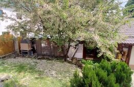 Casa 3 camere, 366mp teren, zona Copou