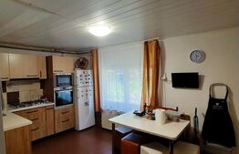 Casa 3 camere, 366mp teren, zona Copou