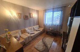 Vila, 5 camere 197 utili, 800 mp Teren, zona HLINCEA