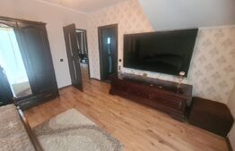 Vila, 5 camere 197 utili, 800 mp Teren, zona HLINCEA