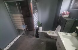 Vila, 5 camere 197 utili, 800 mp Teren, zona HLINCEA