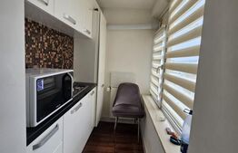 Apartament 3 camere, 110mp, zona Pacurari