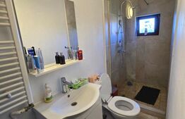 2 Case , 7 camere , 5 bai, 280 mp utili, 1200 mp teren, zona sat Chiperesti 