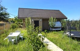 2 Case , 7 camere , 5 bai, 280 mp utili, 1200 mp teren, zona sat Chiperesti 