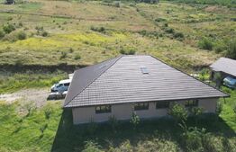 2 Case , 7 camere , 5 bai, 280 mp utili, 1200 mp teren, zona sat Chiperesti 