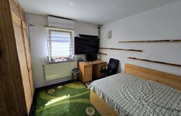 2 Case , 7 camere , 5 bai, 280 mp utili, 1200 mp teren, zona sat Chiperesti 