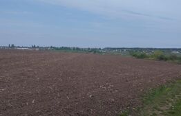 Teren , 13000 mp , extravilan , zona Miroslava Vorovesti