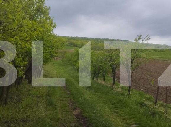 Teren de vânzare Tomesti - 139456TV | BLITZ Iași | Poza3