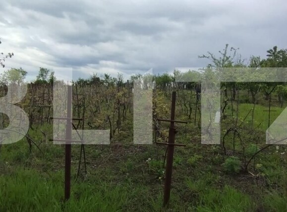 Teren de vânzare Tomesti - 139456TV | BLITZ Iași | Poza2