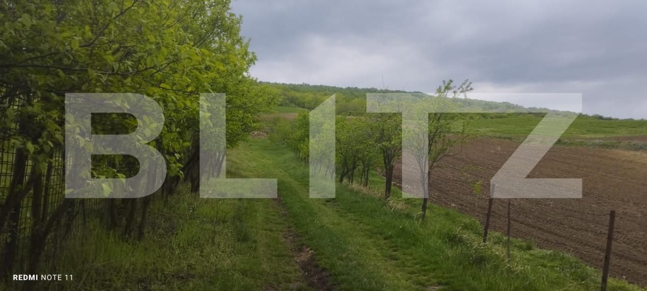 Teren de vânzare Tomesti - 139456TV | BLITZ Iași | Poza3