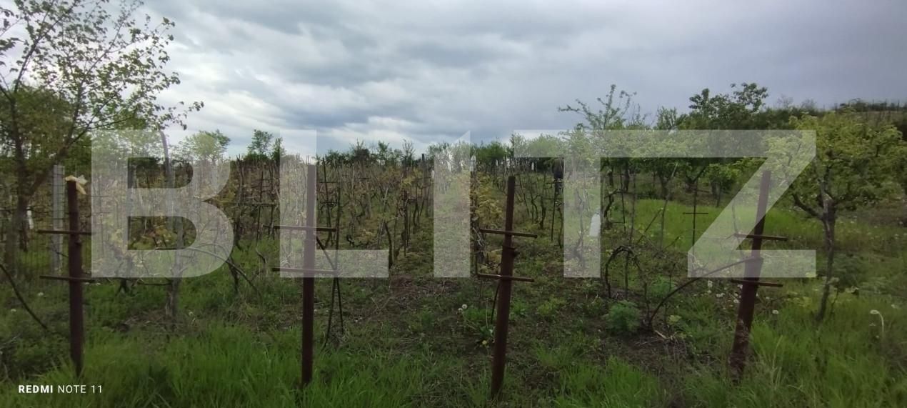 Teren de vânzare Tomesti - 139456TV | BLITZ Iași | Poza2